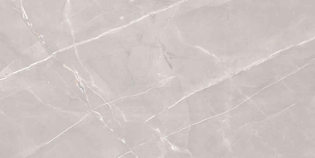 GOLDEN SLATE GREY CARVING MATT  PORCELAIN WALL &amp; FLOOR TILES 60X120CM
