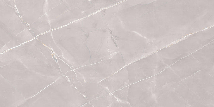 GOLDEN SLATE GREY CARVING MATT  PORCELAIN WALL &amp; FLOOR TILES 60X120CM