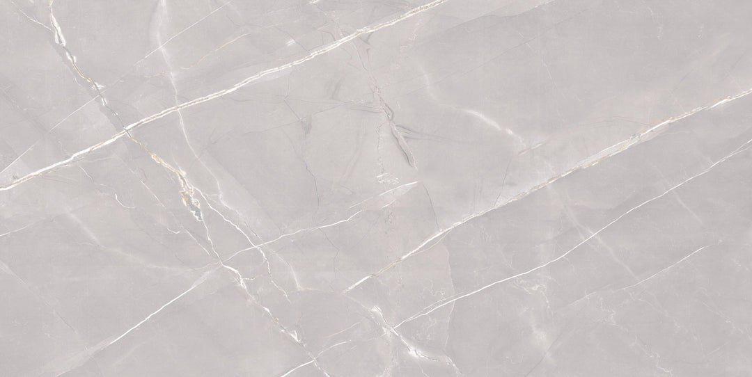 GOLDEN SLATE GREY CARVING MATT  PORCELAIN WALL &amp; FLOOR TILES 60X120CM