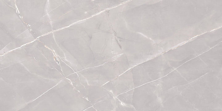 GOLDEN SLATE GREY CARVING MATT  PORCELAIN WALL &amp; FLOOR TILES 60X120CM