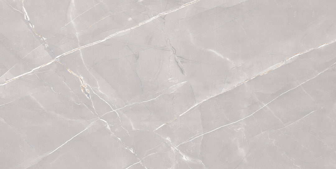 GOLDEN SLATE GREY CARVING MATT  PORCELAIN WALL &amp; FLOOR TILES 60X120CM