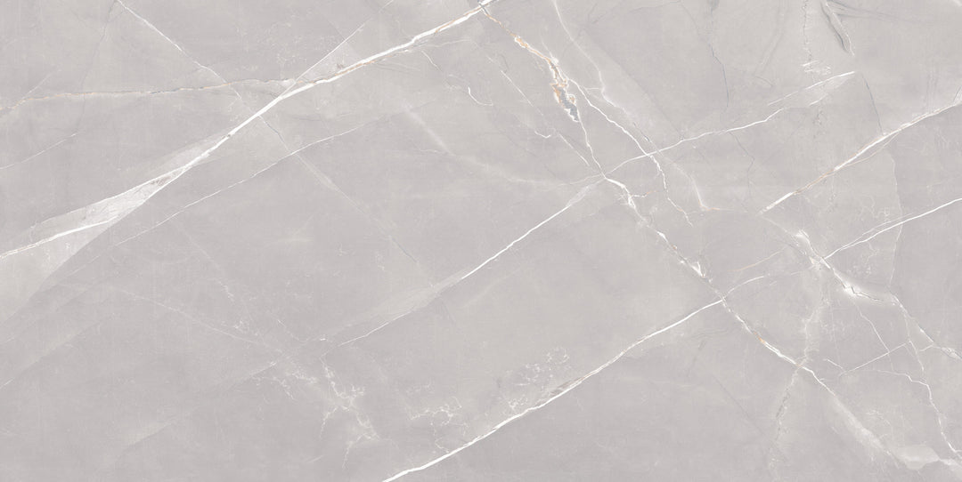 GOLDEN SLATE GREY CARVING MATT  PORCELAIN WALL &amp; FLOOR TILES 60X120CM