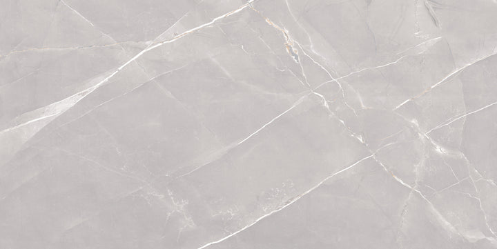 GOLDEN SLATE GREY CARVING MATT  PORCELAIN WALL &amp; FLOOR TILES 60X120CM