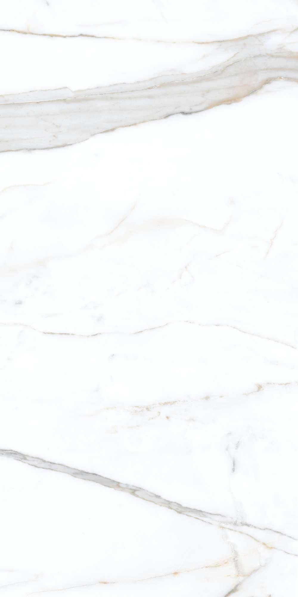 CARRARA MARBLE GLOSSY PORCELAIN WALL &amp; FLOOR TILES 60X120 CM