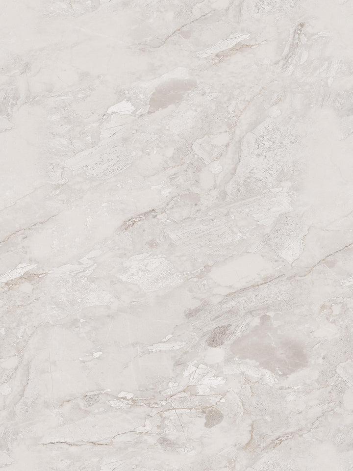 FOREST ENDLESS GREY GLOSS  PORCELAIN WALL &amp; FLOOR TILES 80X120 CM