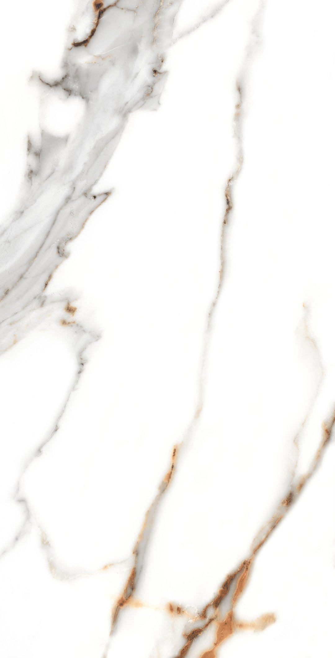 GOLDEN CARRARA MATT WALL &amp; FLOOR TILES 60X120 CM