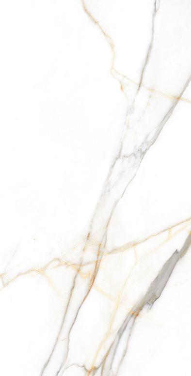 MAJETRY GOLD GLOSS PORCELAIN WALL &amp; FLOOR TILES 60X120 CM
