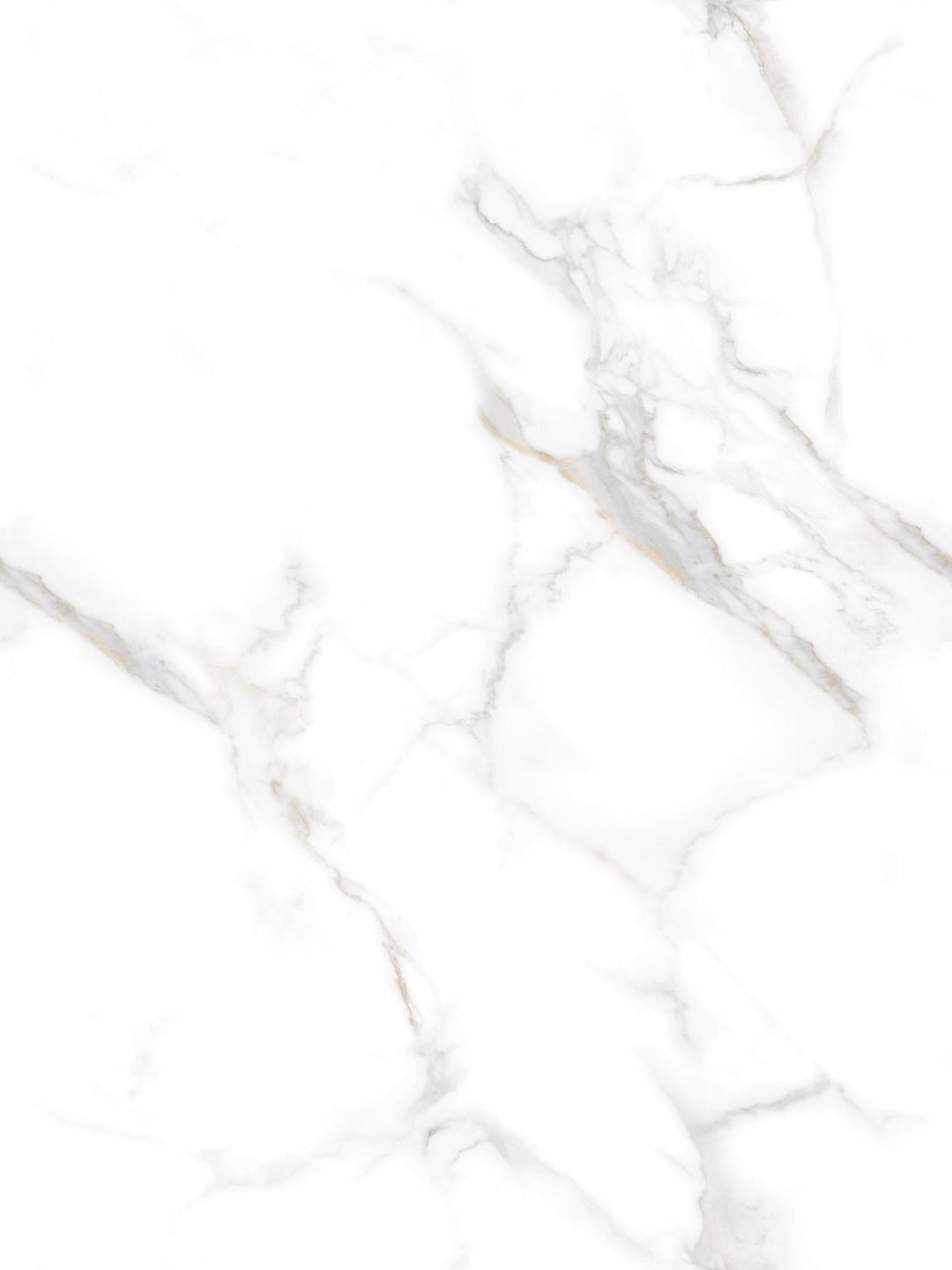 LUXURIANT SATVARIO ENDLESS MATT PORCELAIN WALL &amp; FLOOR TILES 80X120 CM